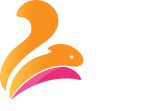 نات رینگ